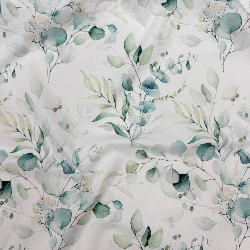 Eucalyptus
