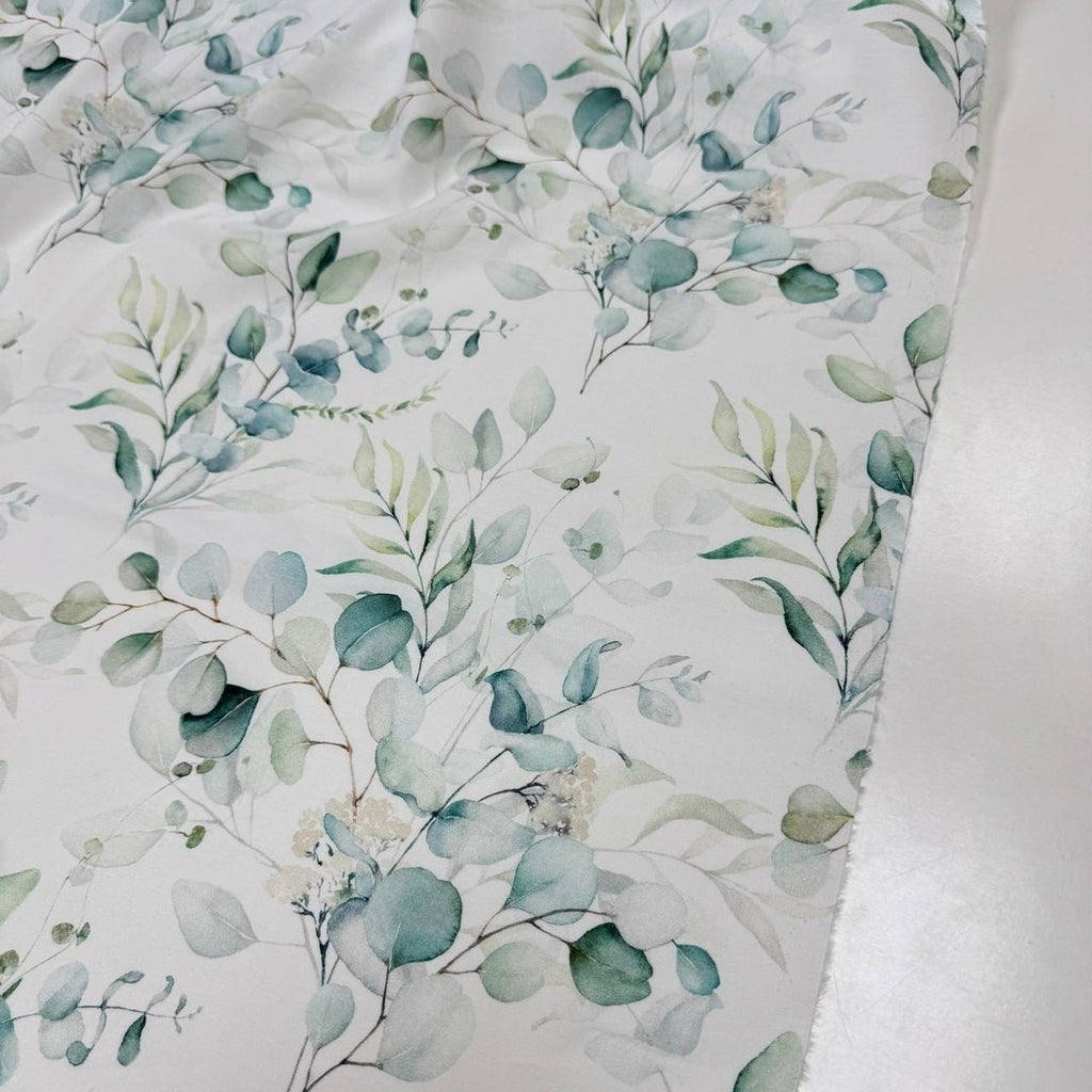Eucalyptus