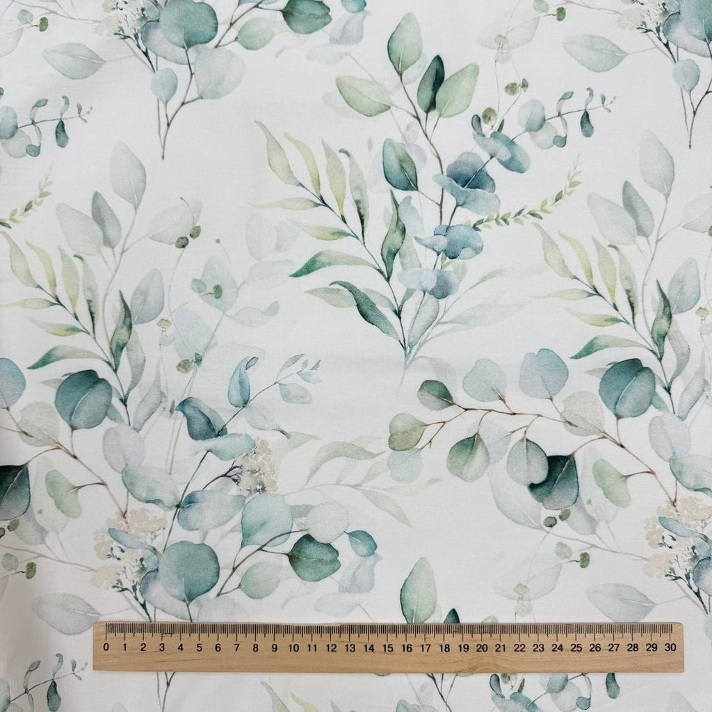 Eucalyptus