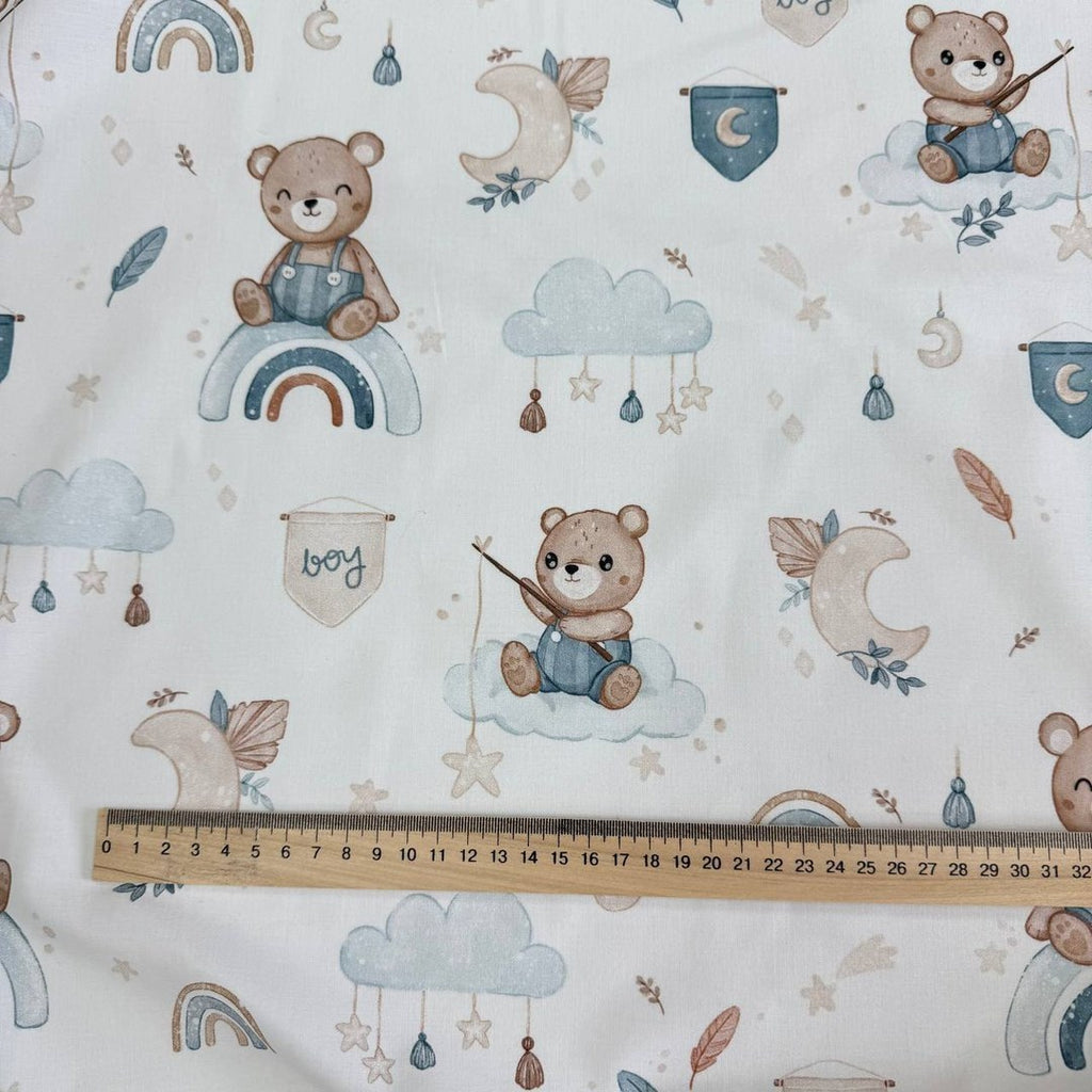 Bear rainbow boy