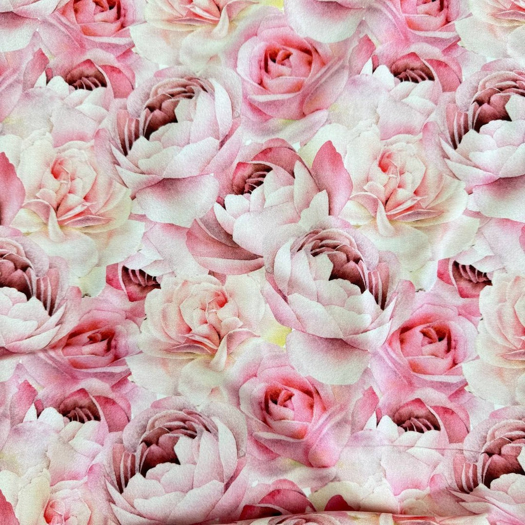 Pink roses