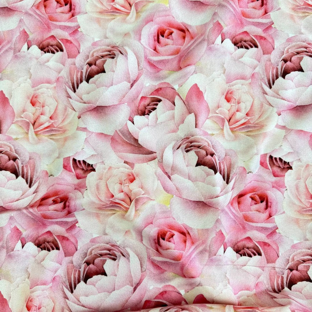 Pink roses