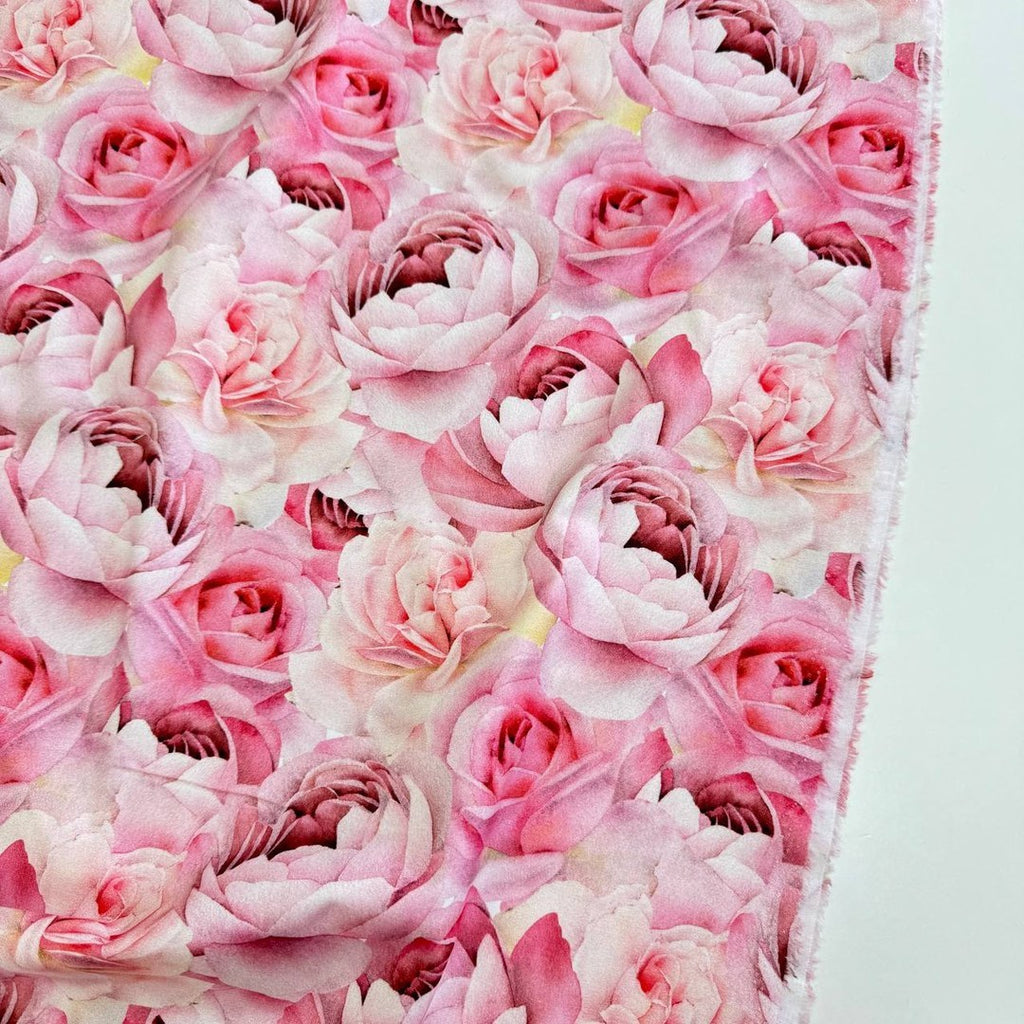 Pink roses