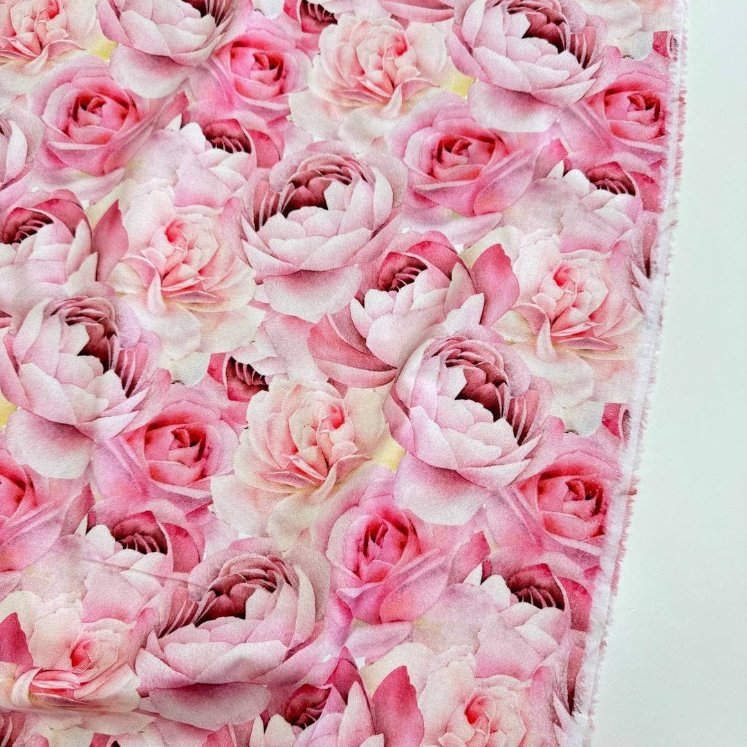 Pink roses