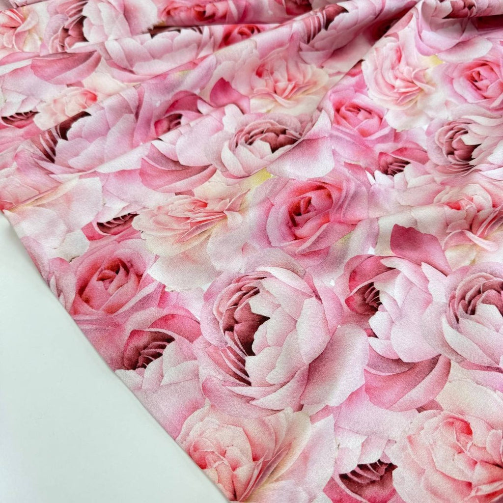 Pink roses