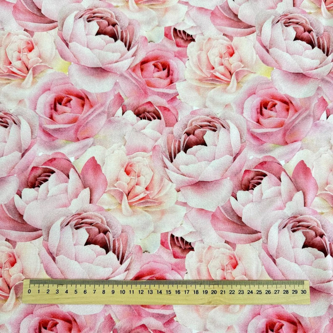 Pink roses