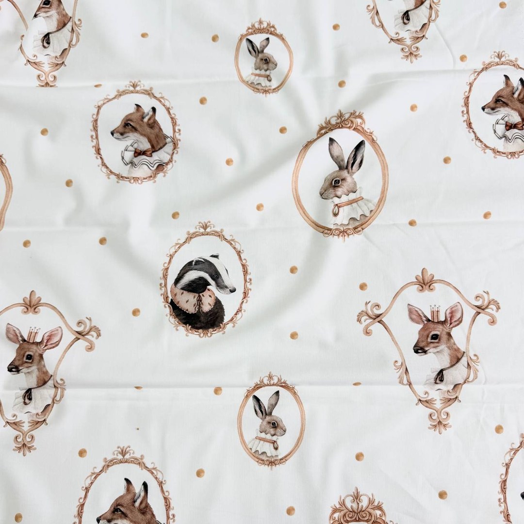 Forest animals in frames