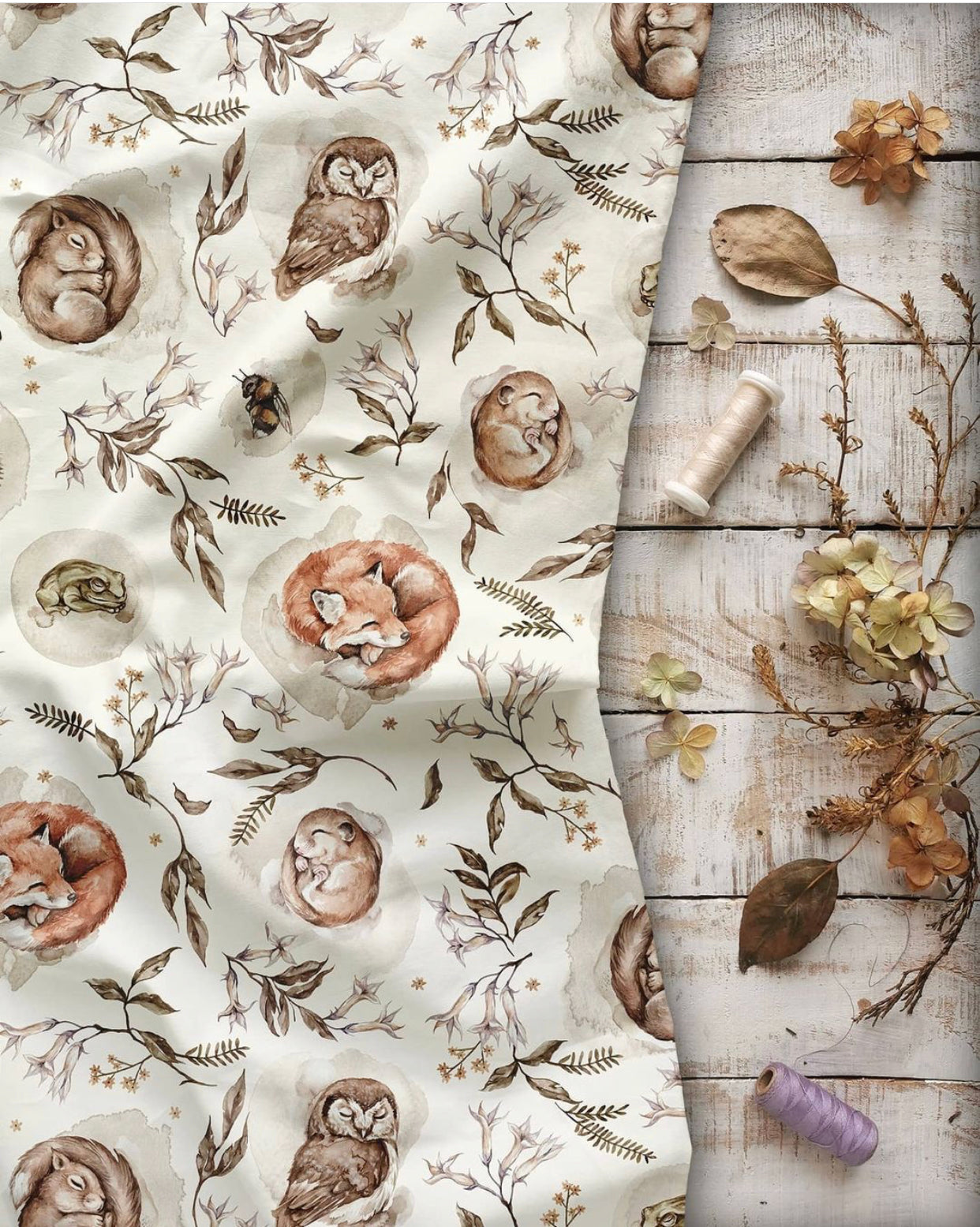 Forest animals are sleeping