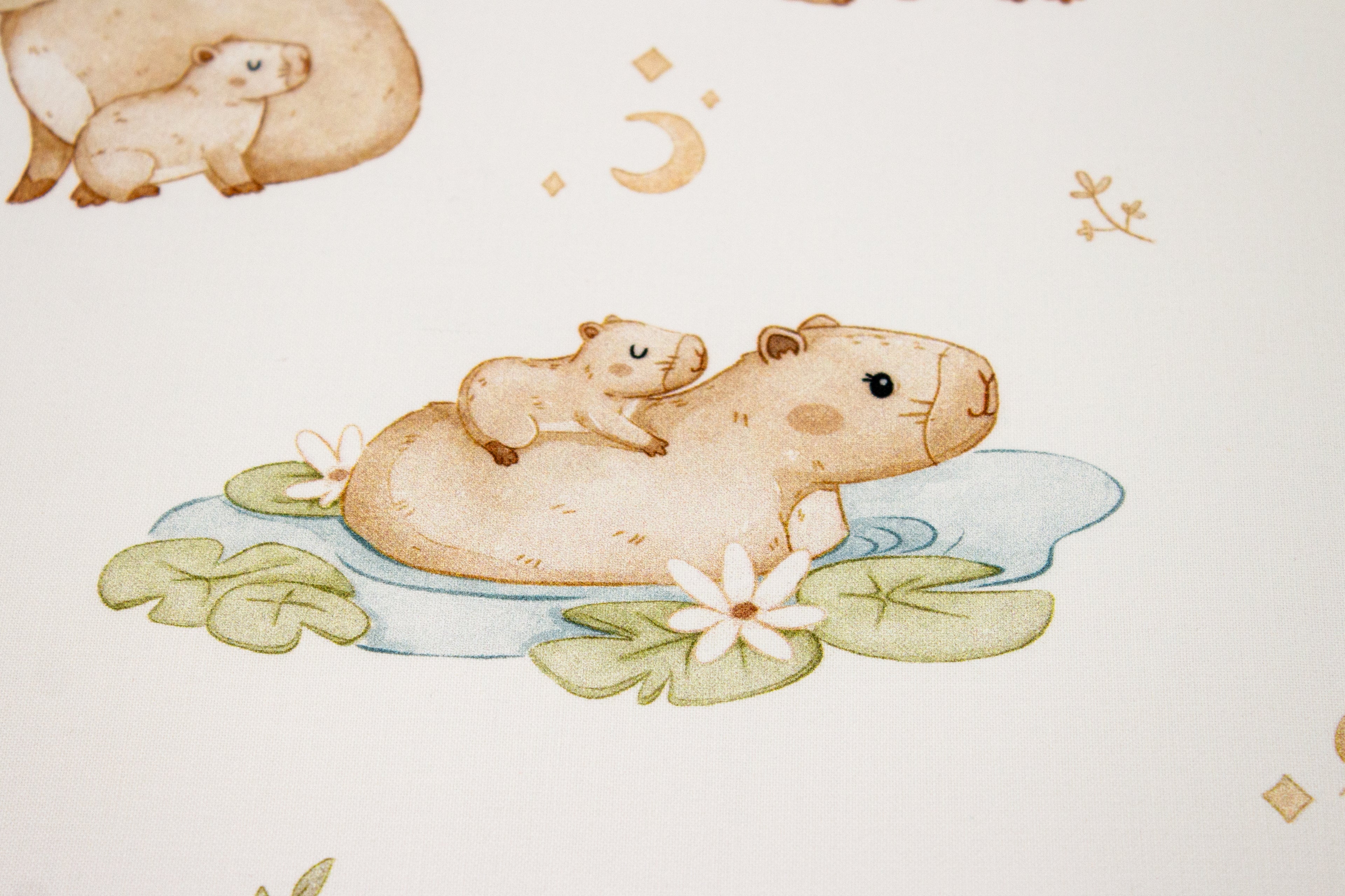 Capybara