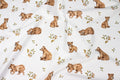 Premium Cotton Fabric - Teddy Bears