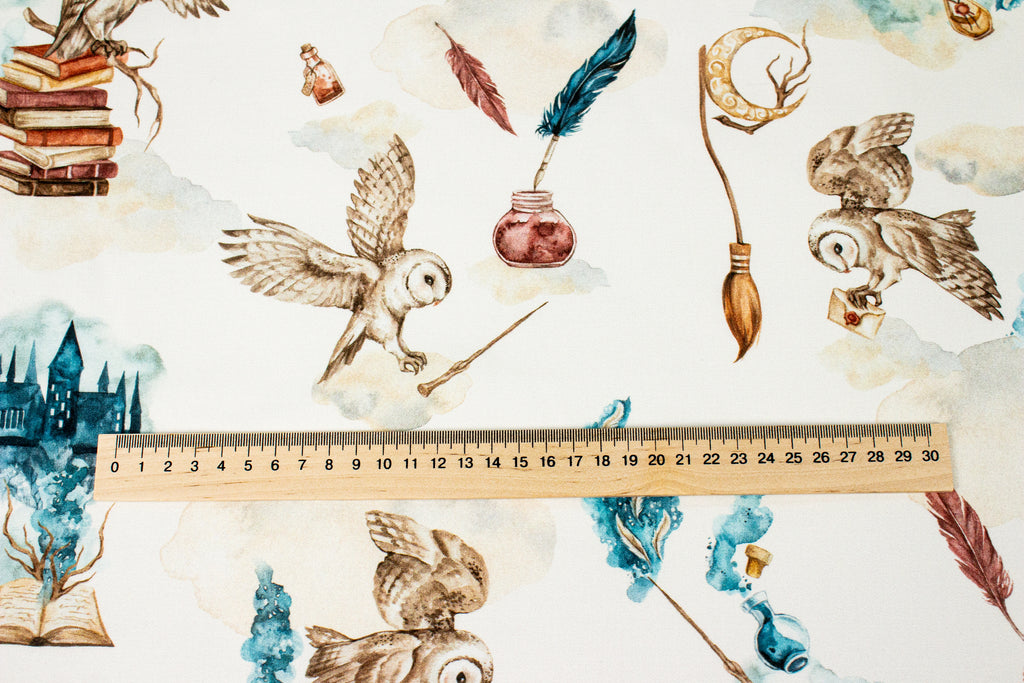 Harry Potter Owls