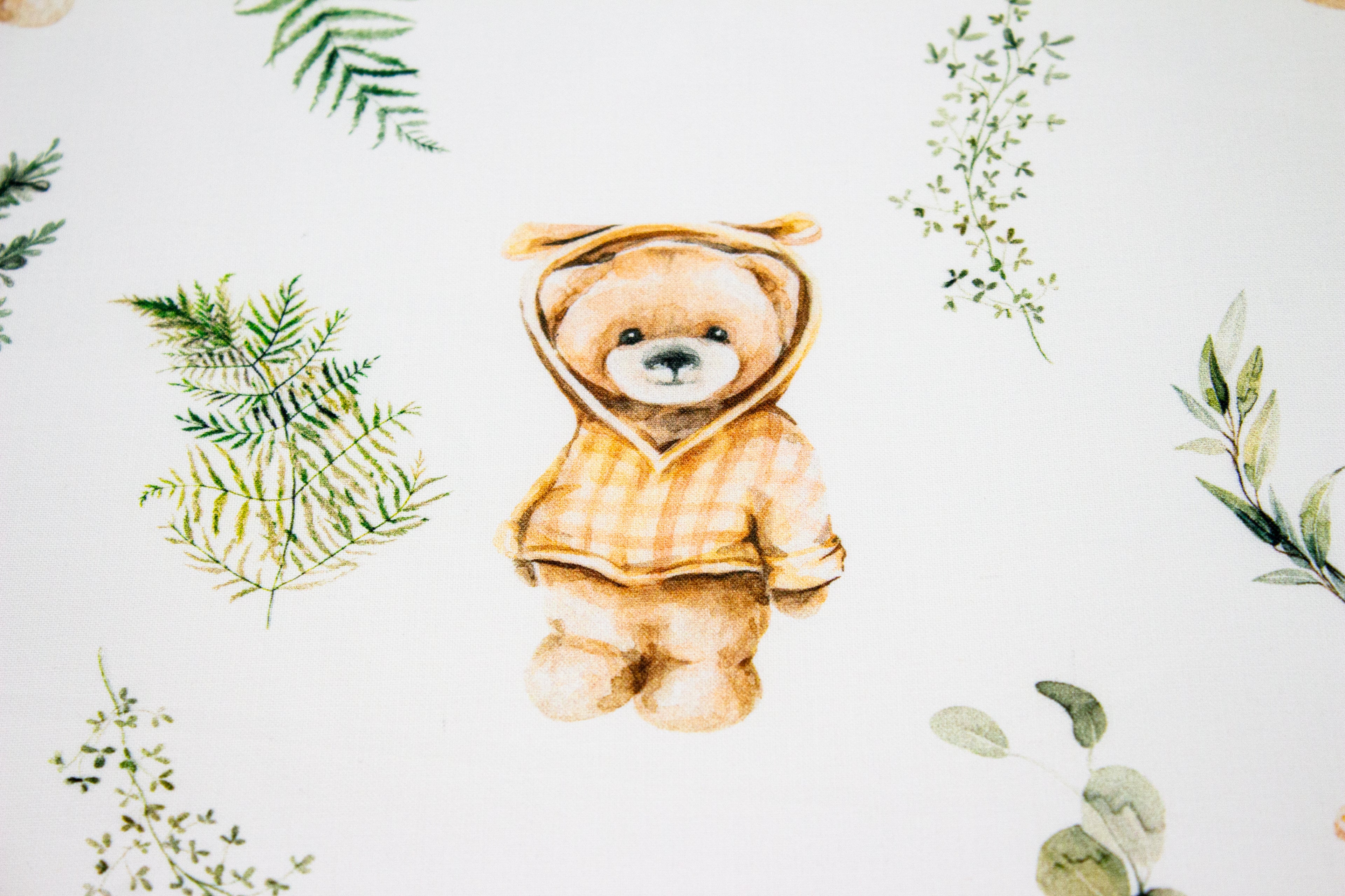 Teddy bear