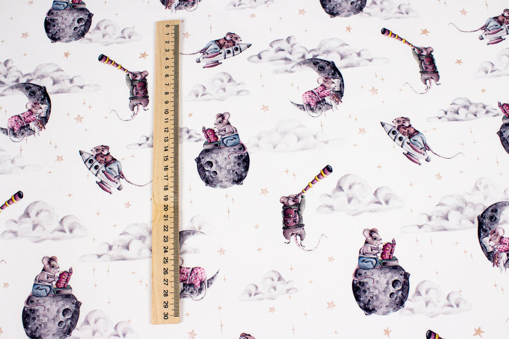 Mouse in space