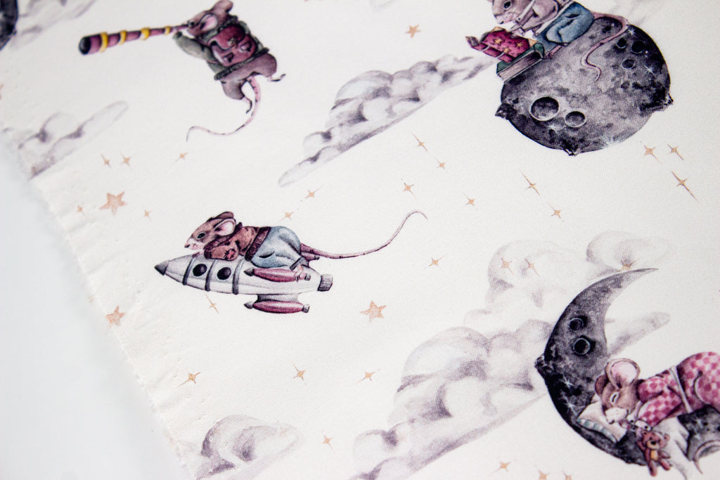 Mouse in space