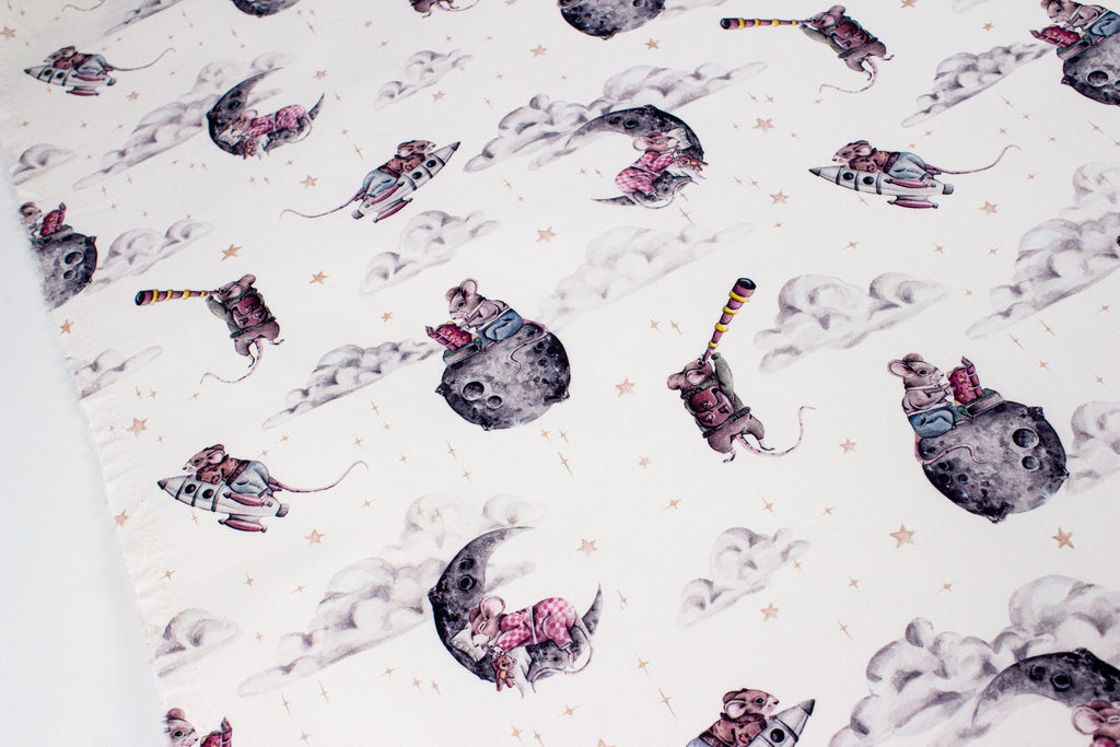 Mouse in space