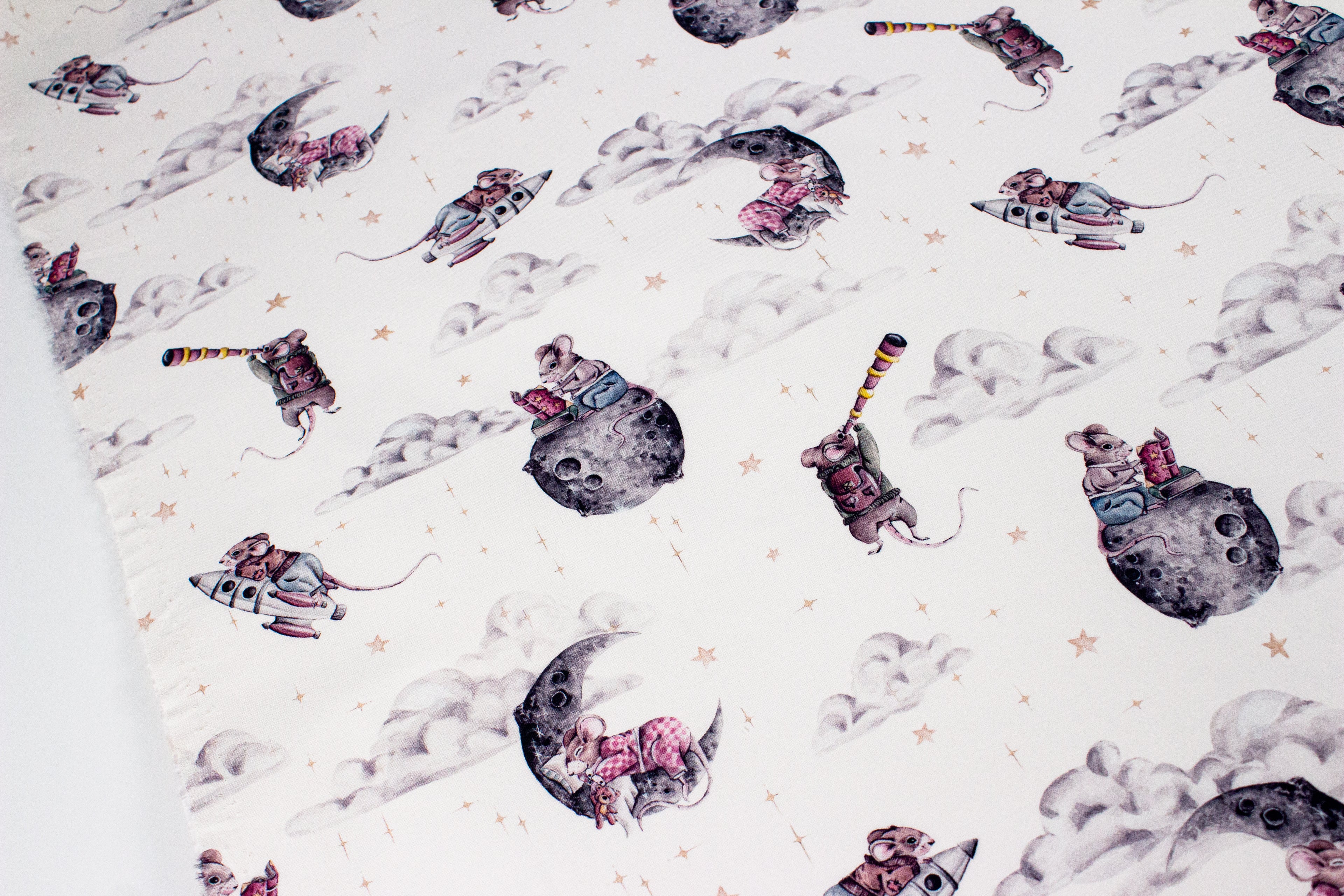 Mouse in space