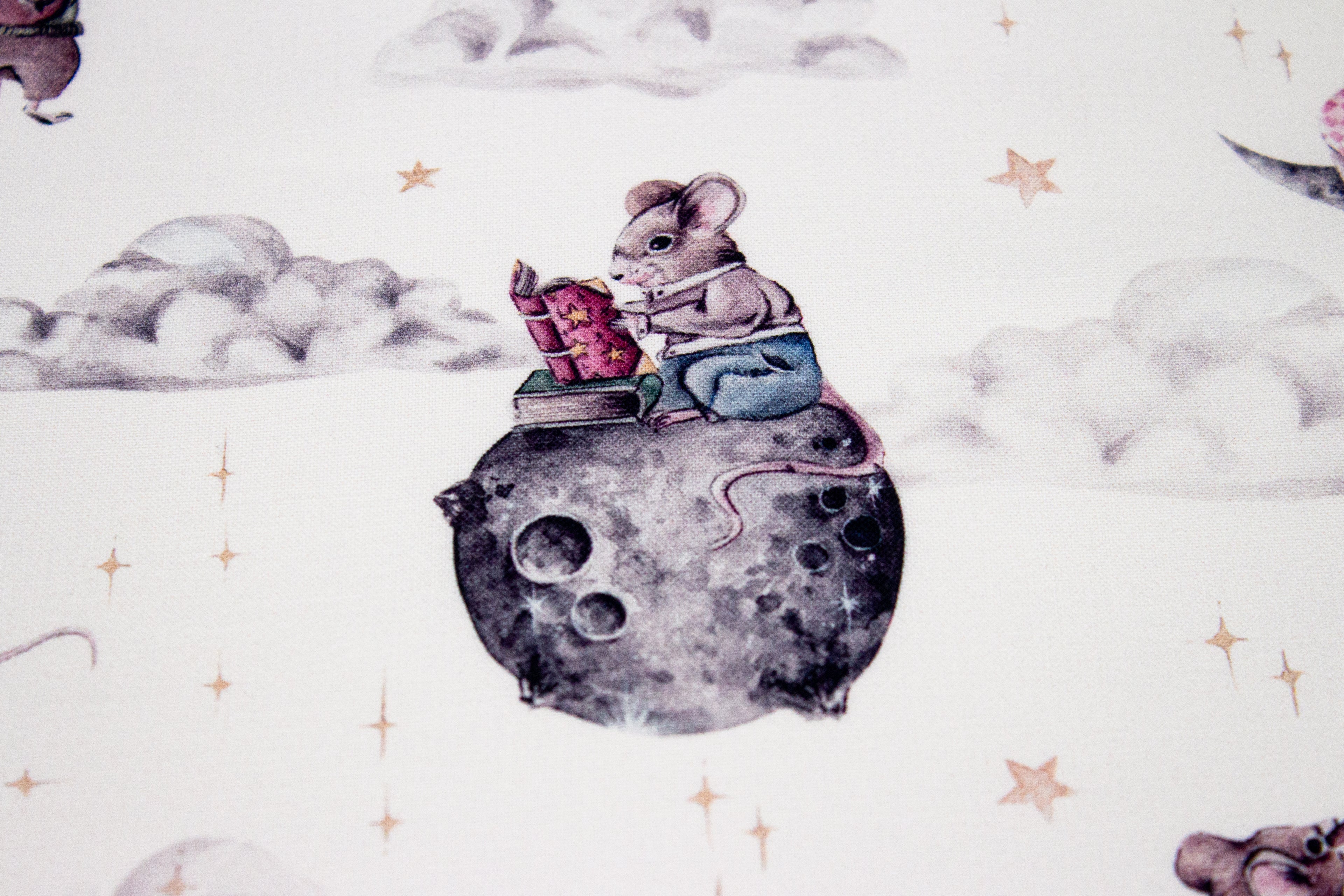 Mouse in space