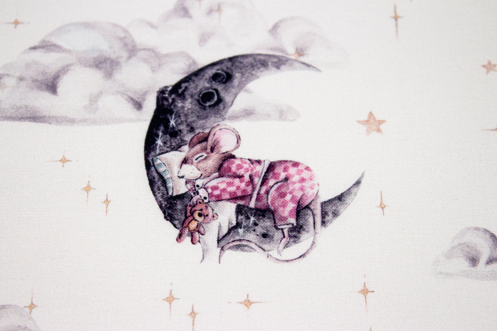 Mouse in space