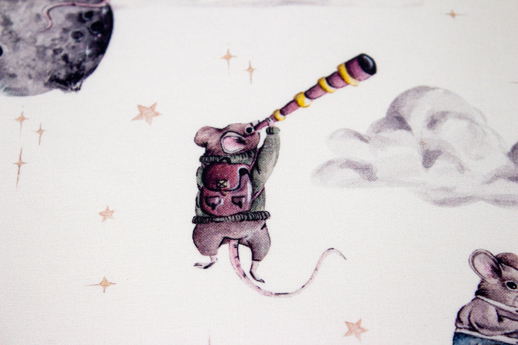 Mouse in space