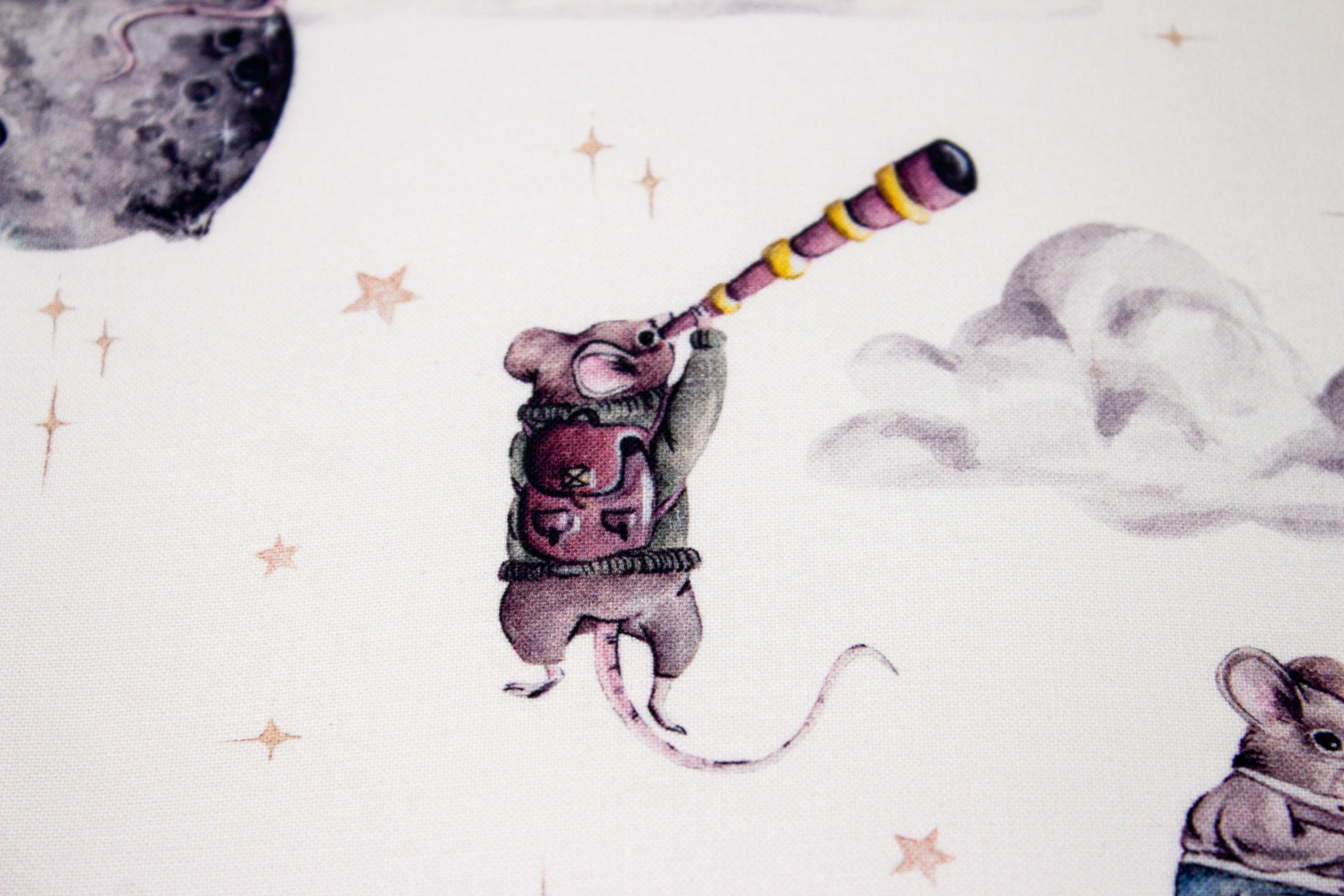 Mouse in space