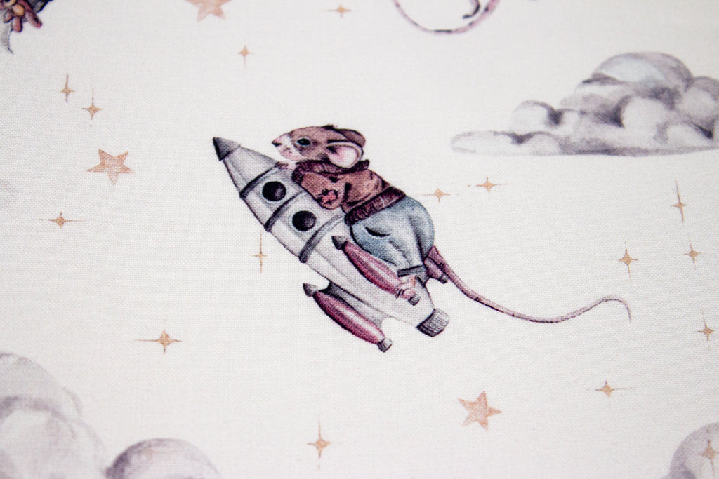 Mouse in space