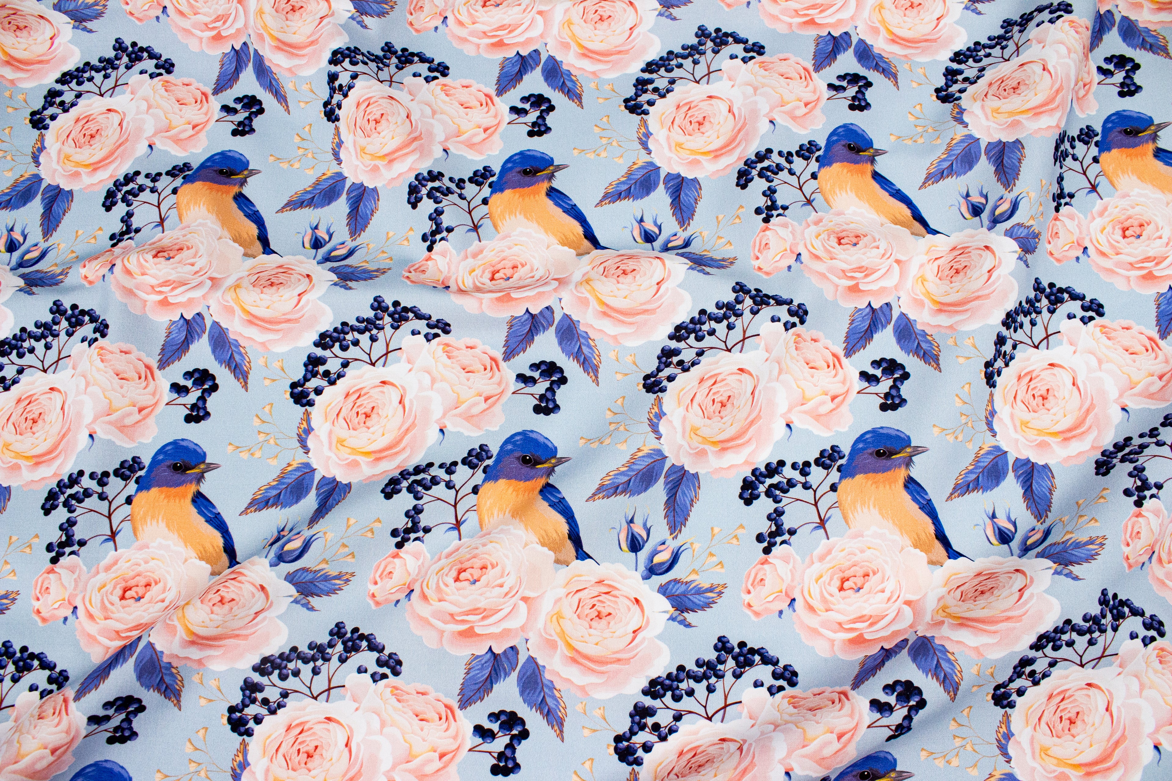 Roses with a bird on blue