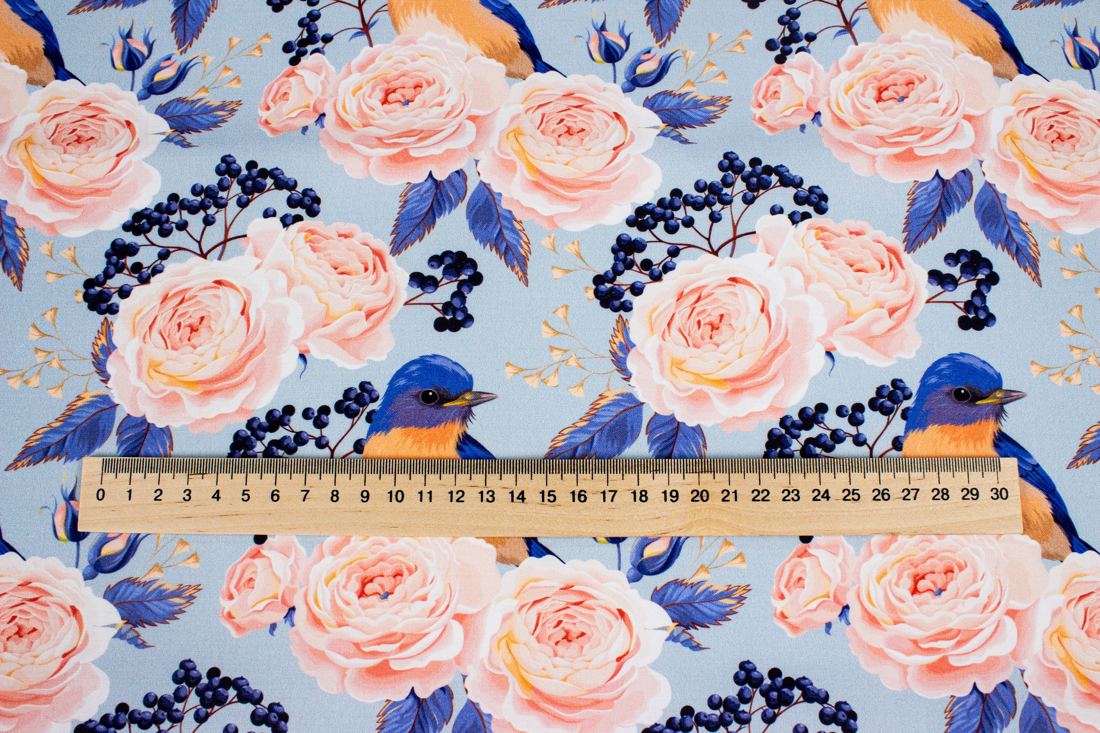 Roses with a bird on blue