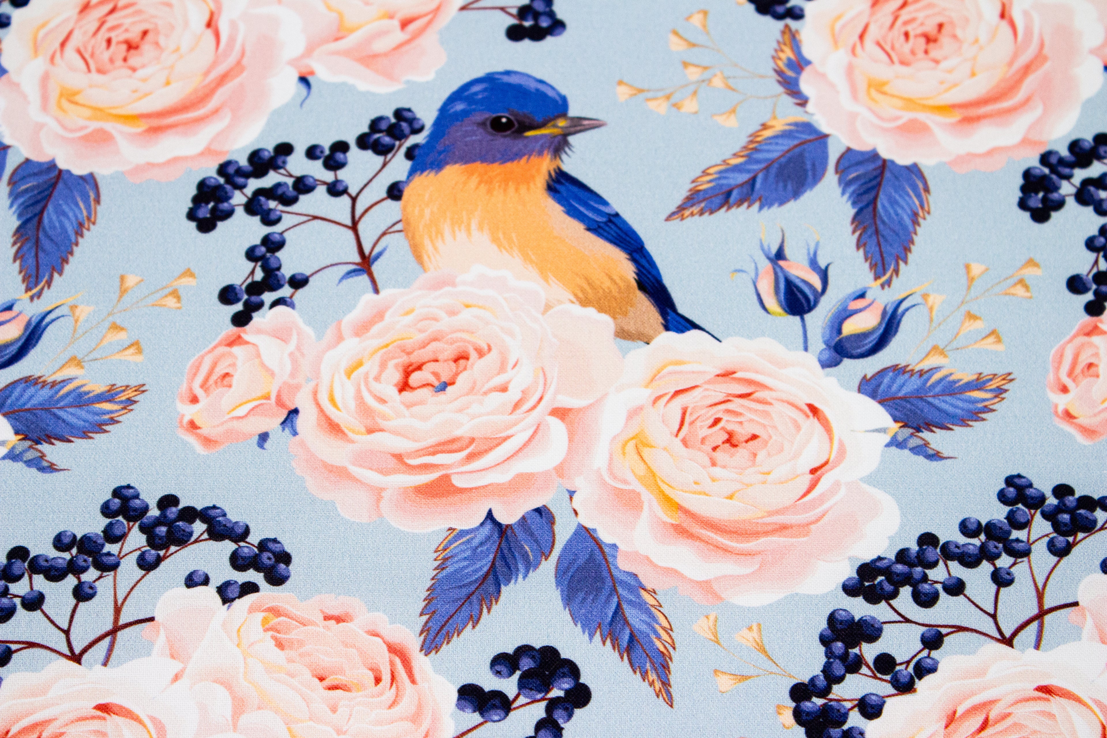 Roses with a bird on blue