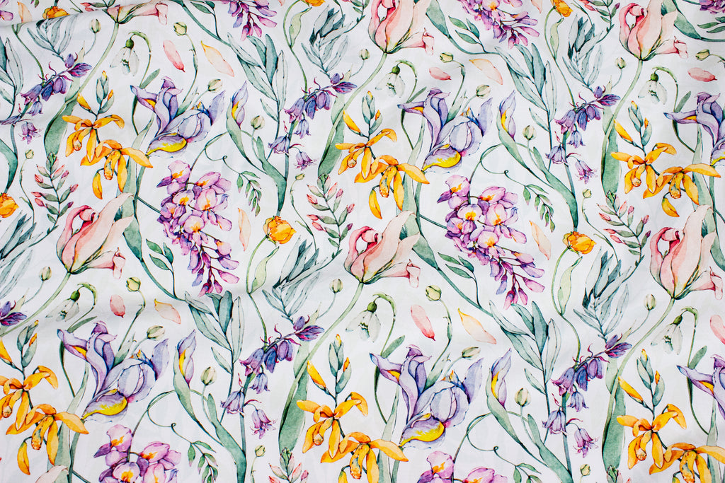 Spring flowers on white
