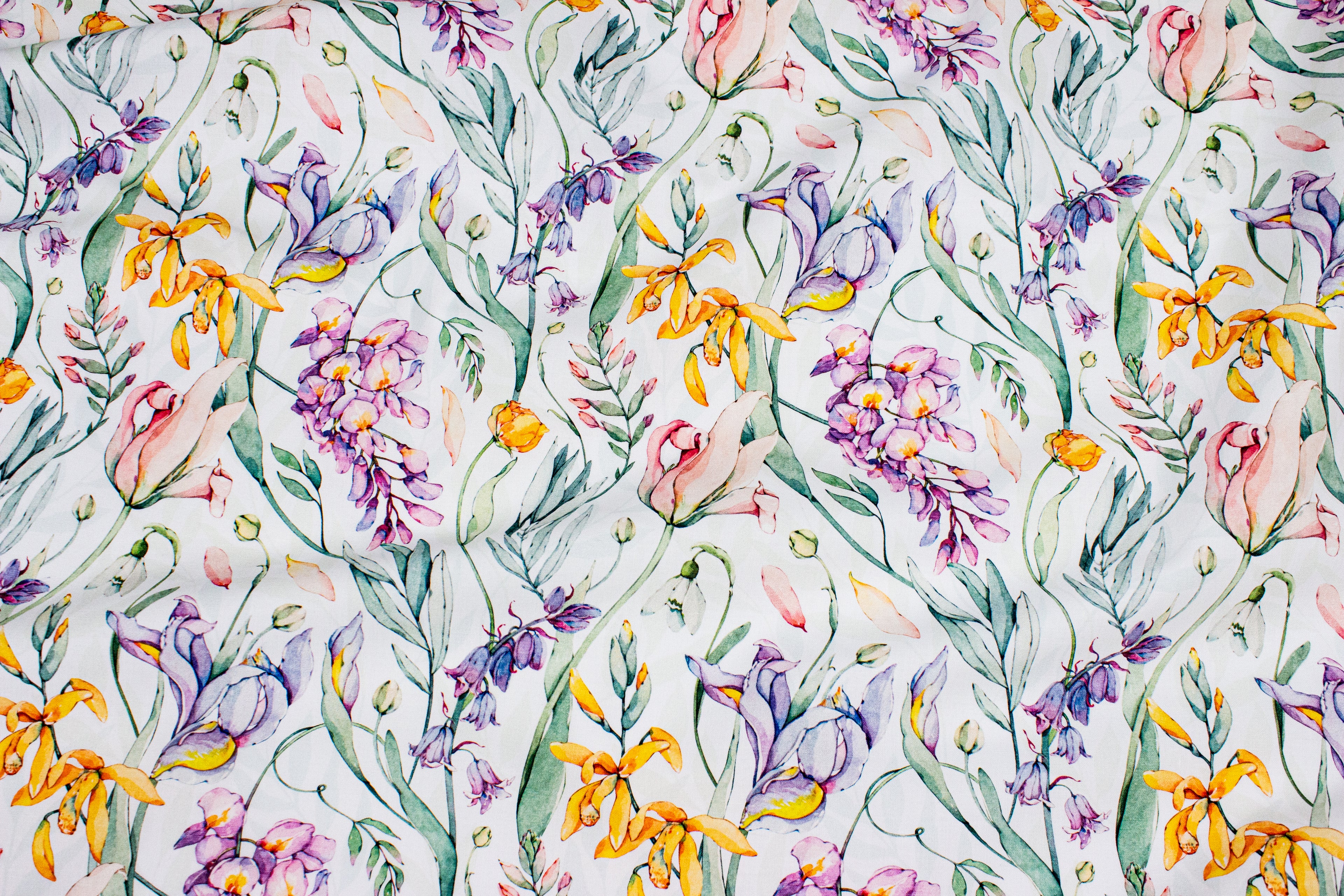 Spring flowers on white