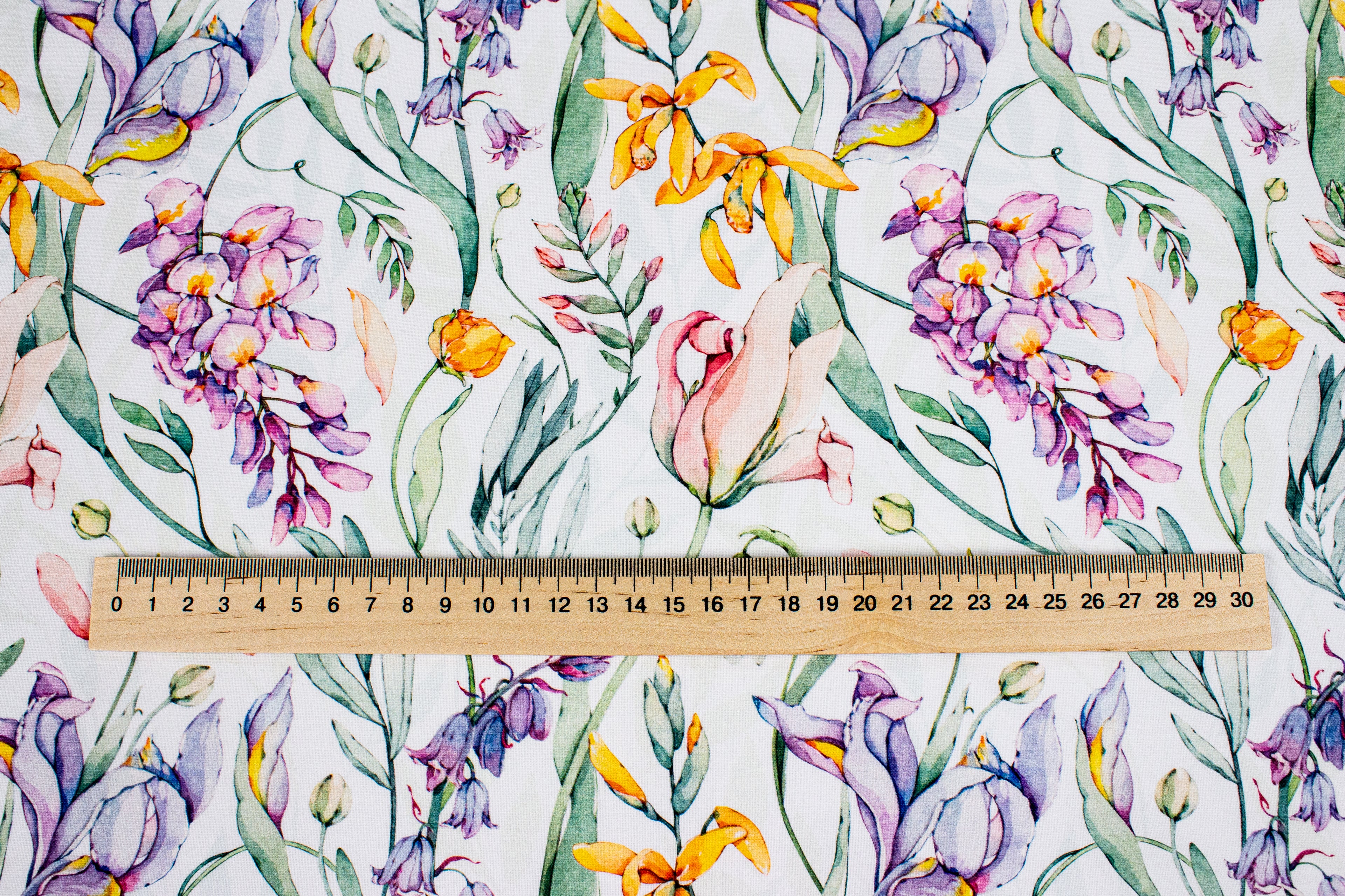 Spring flowers on white