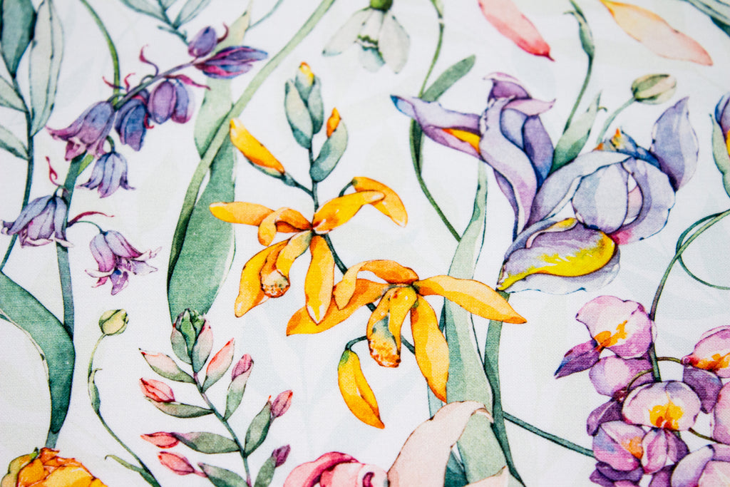 Spring flowers on white