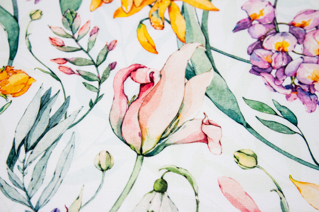 Spring flowers on white