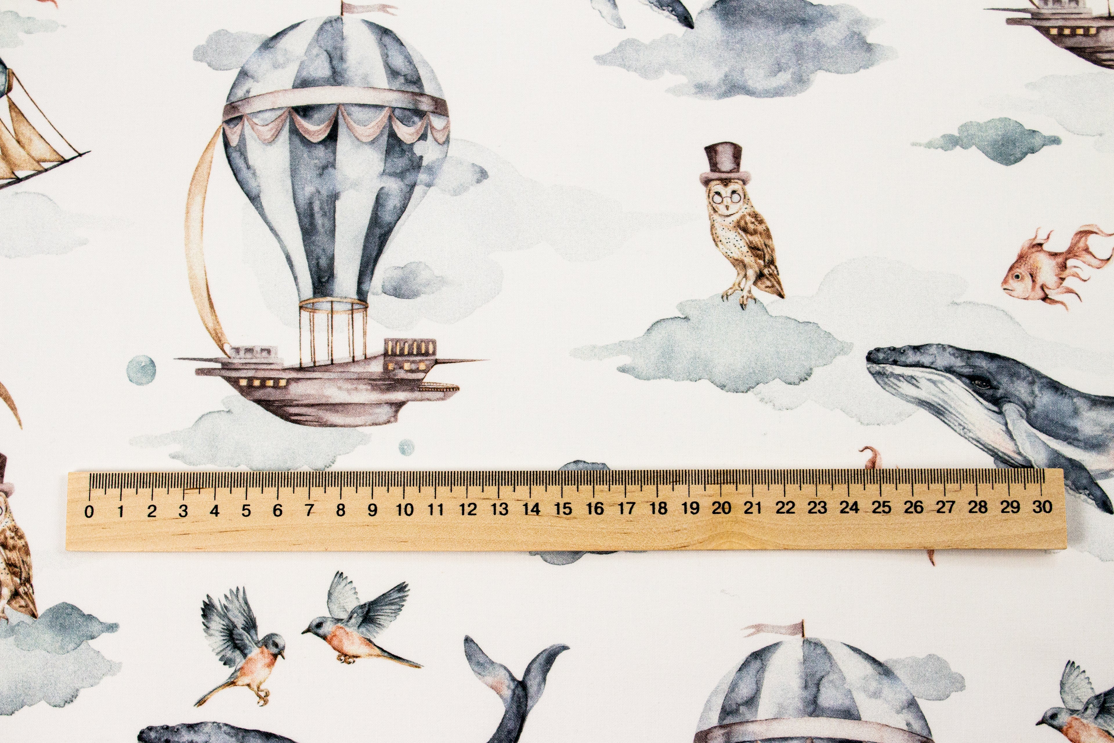 Whales and airships