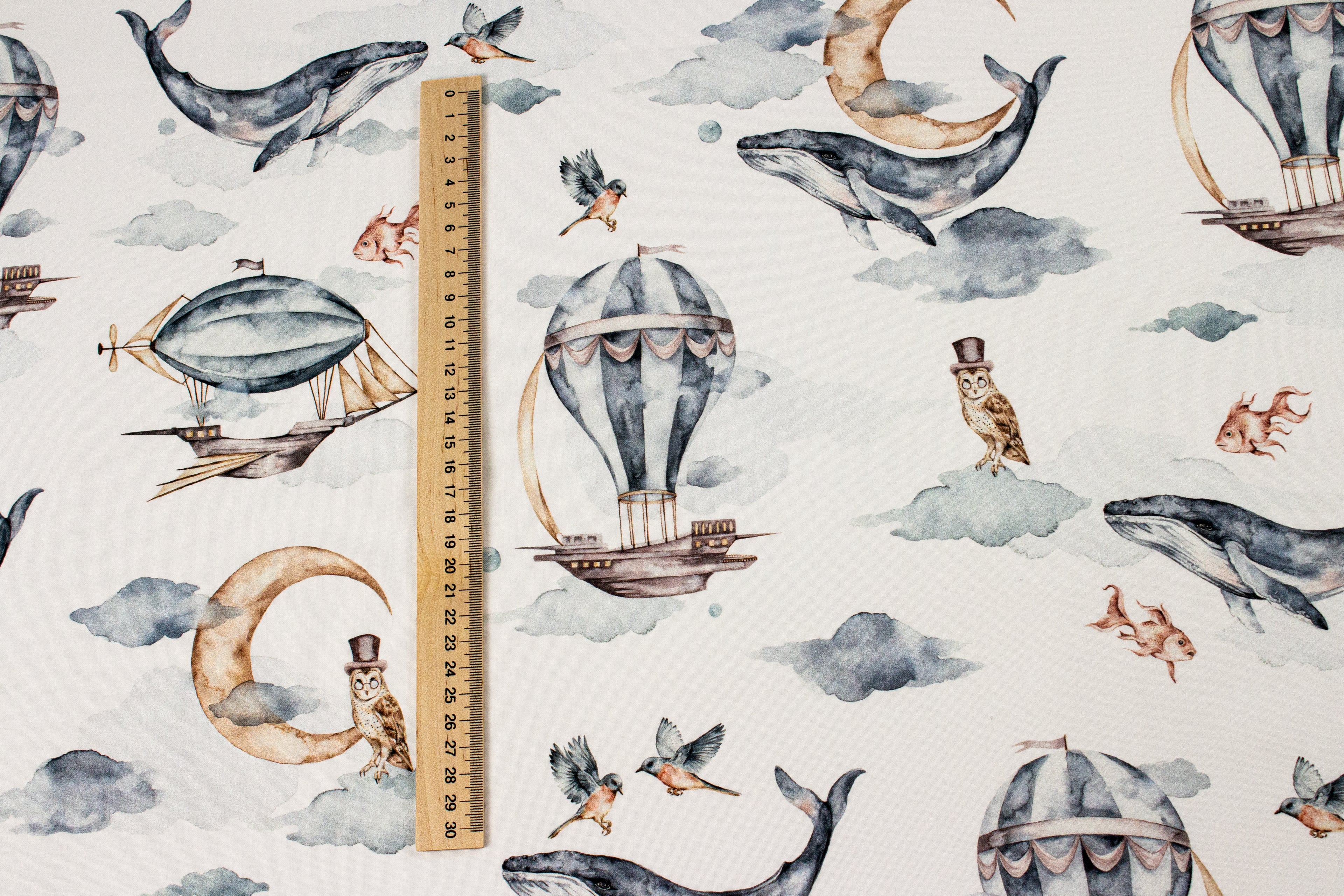 Whales and airships