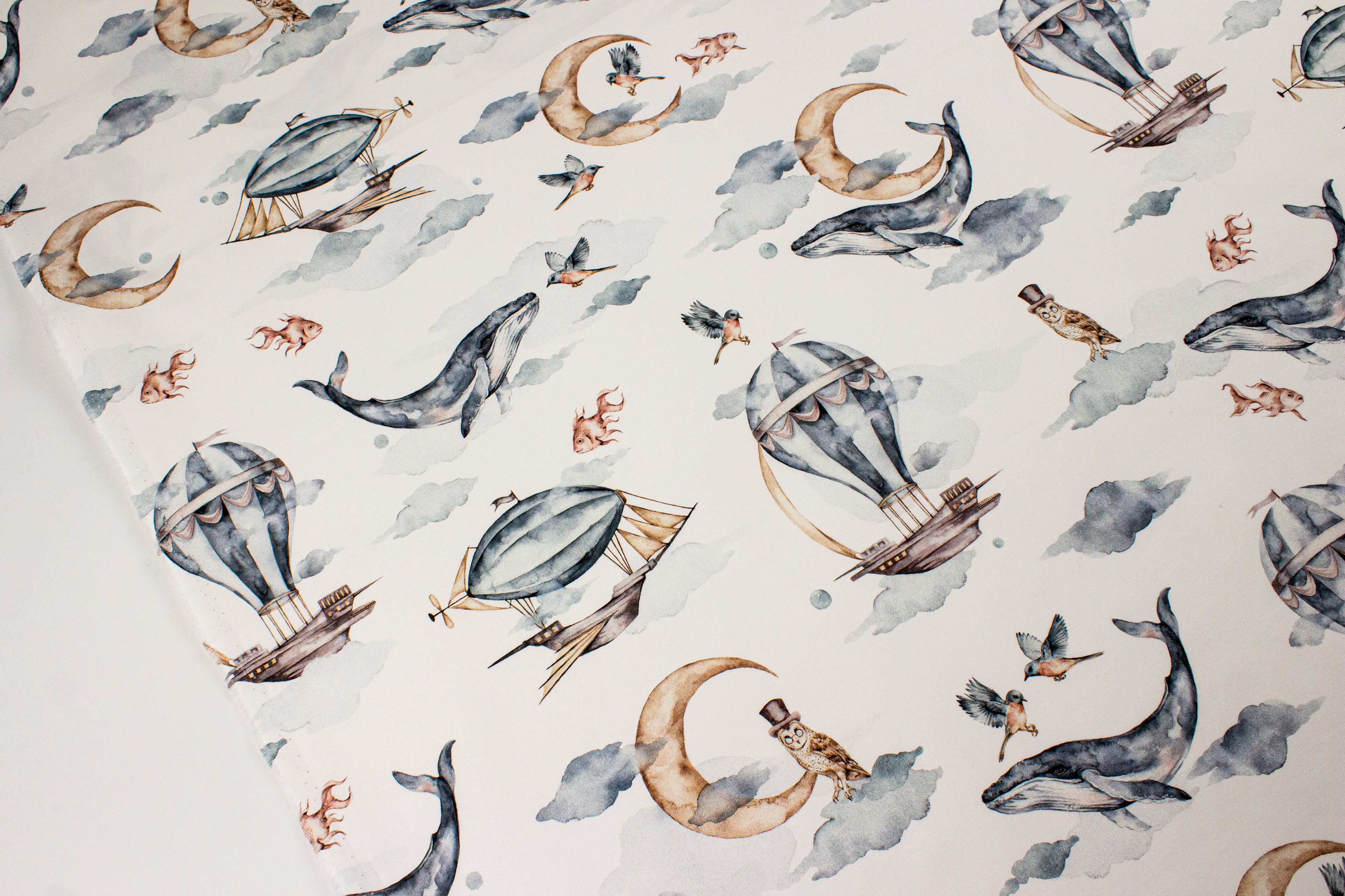 Whales and airships