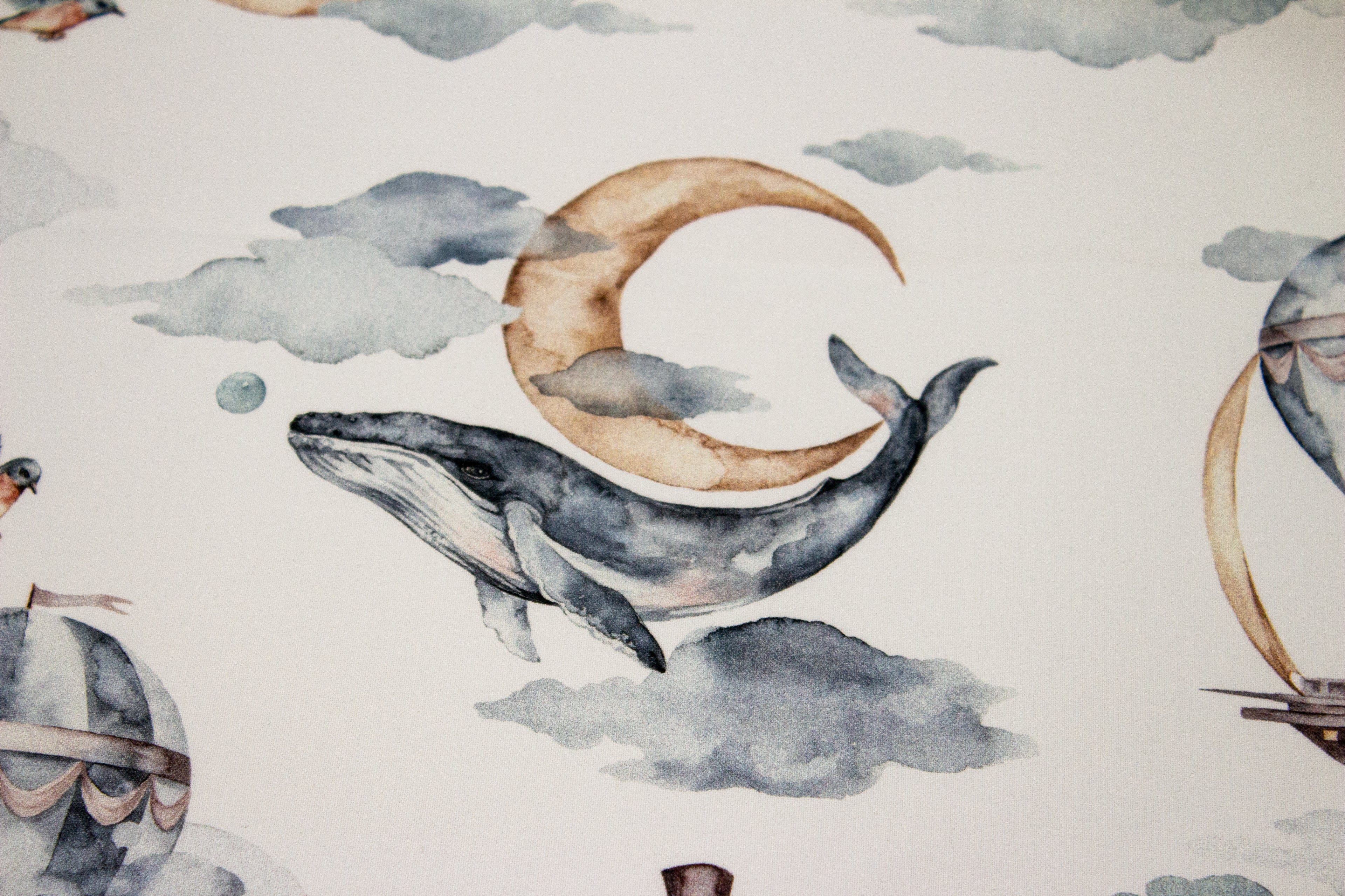 Whales and airships