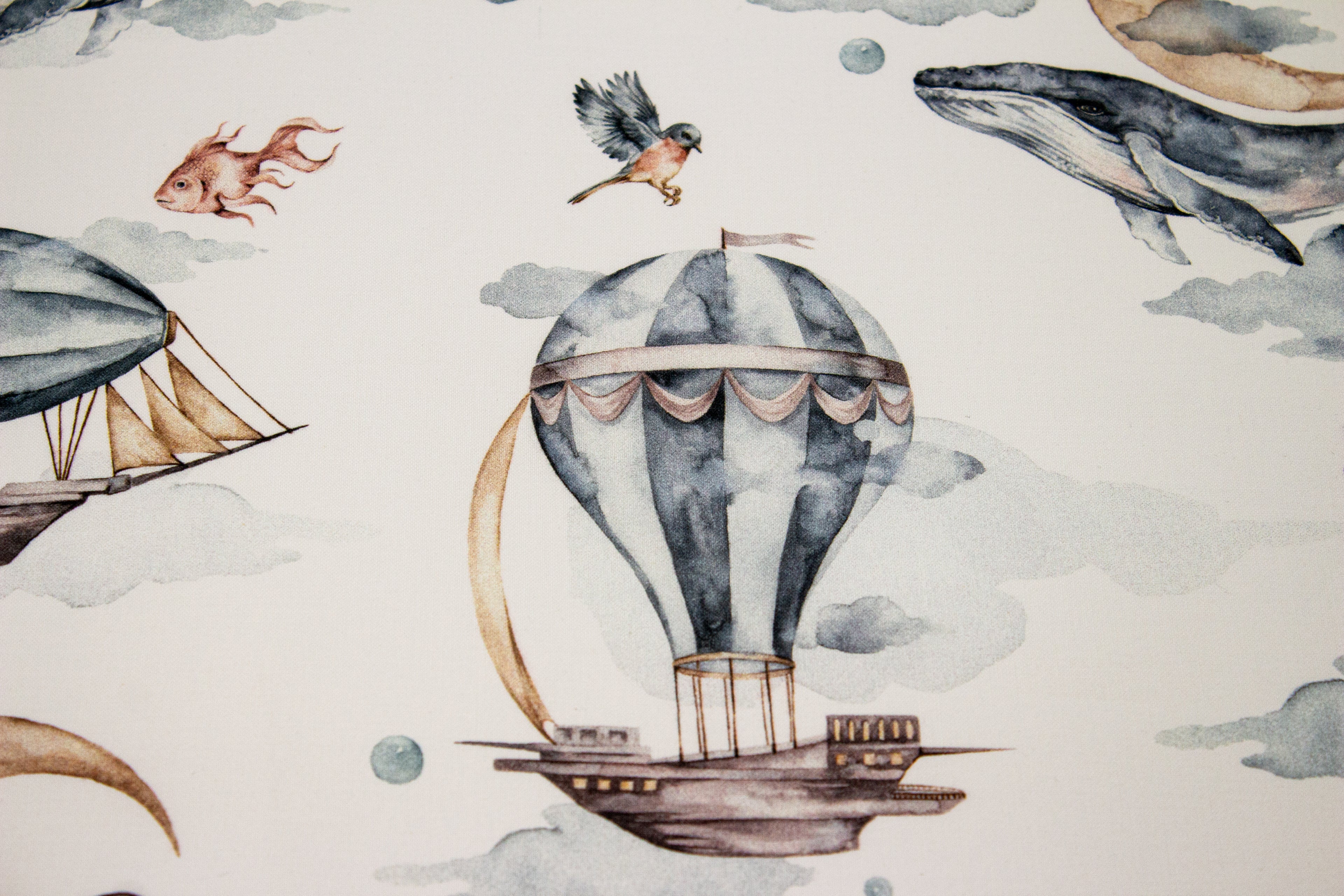 Whales and airships