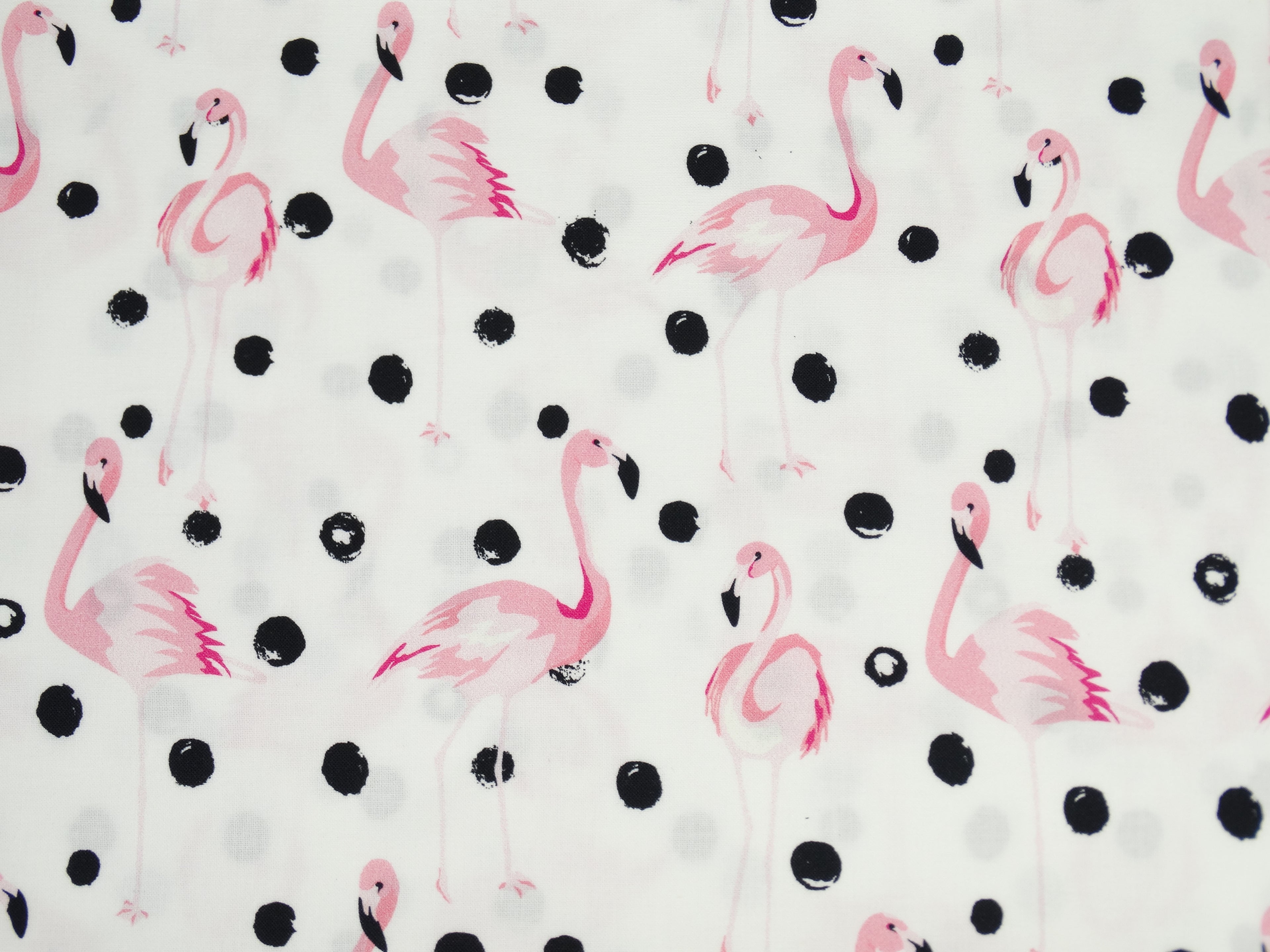 Premium Cotton Fabric - Flamingos with Black Dots
