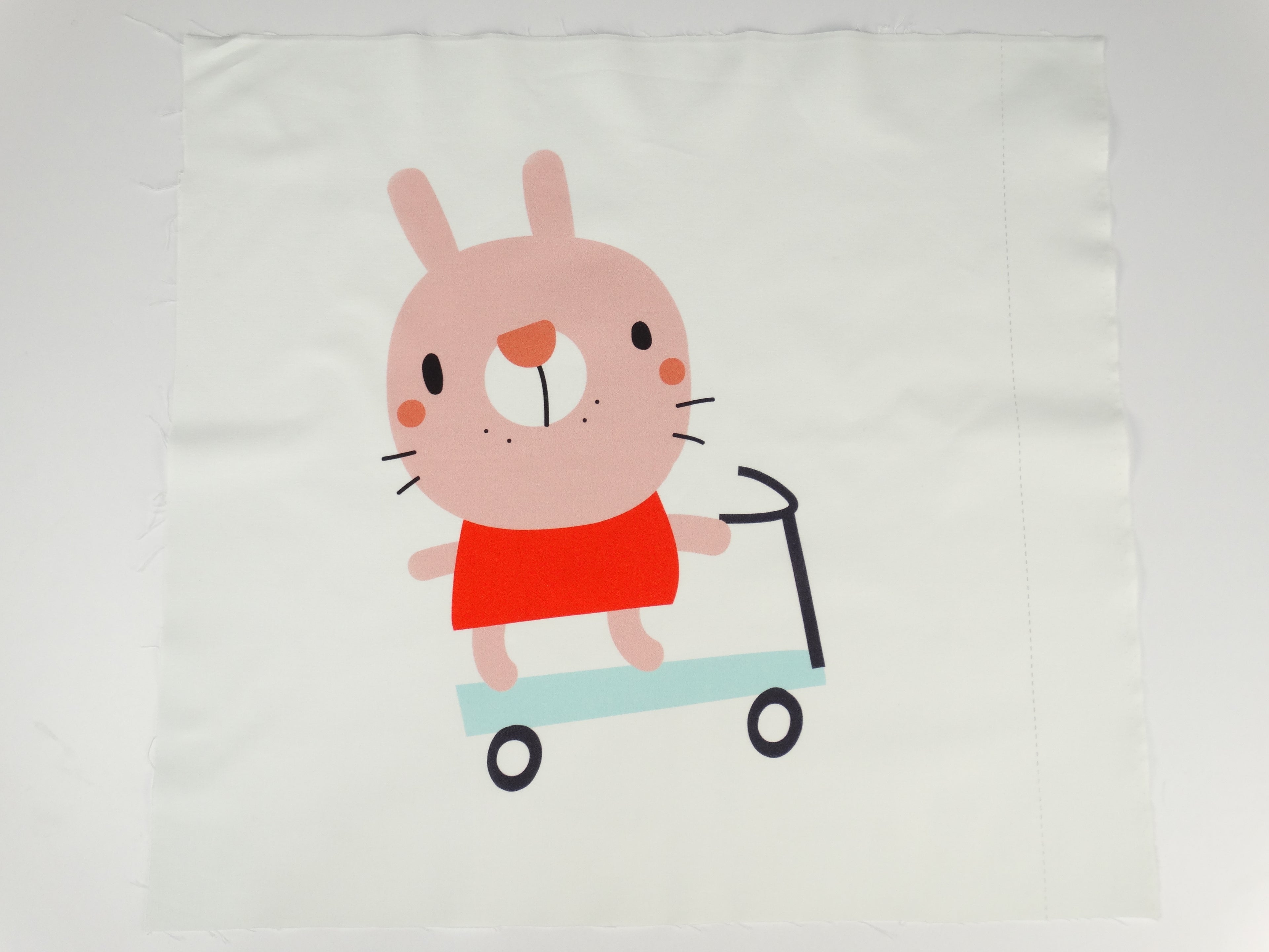 A bunny on a scooter