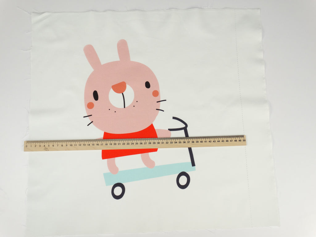 A bunny on a scooter