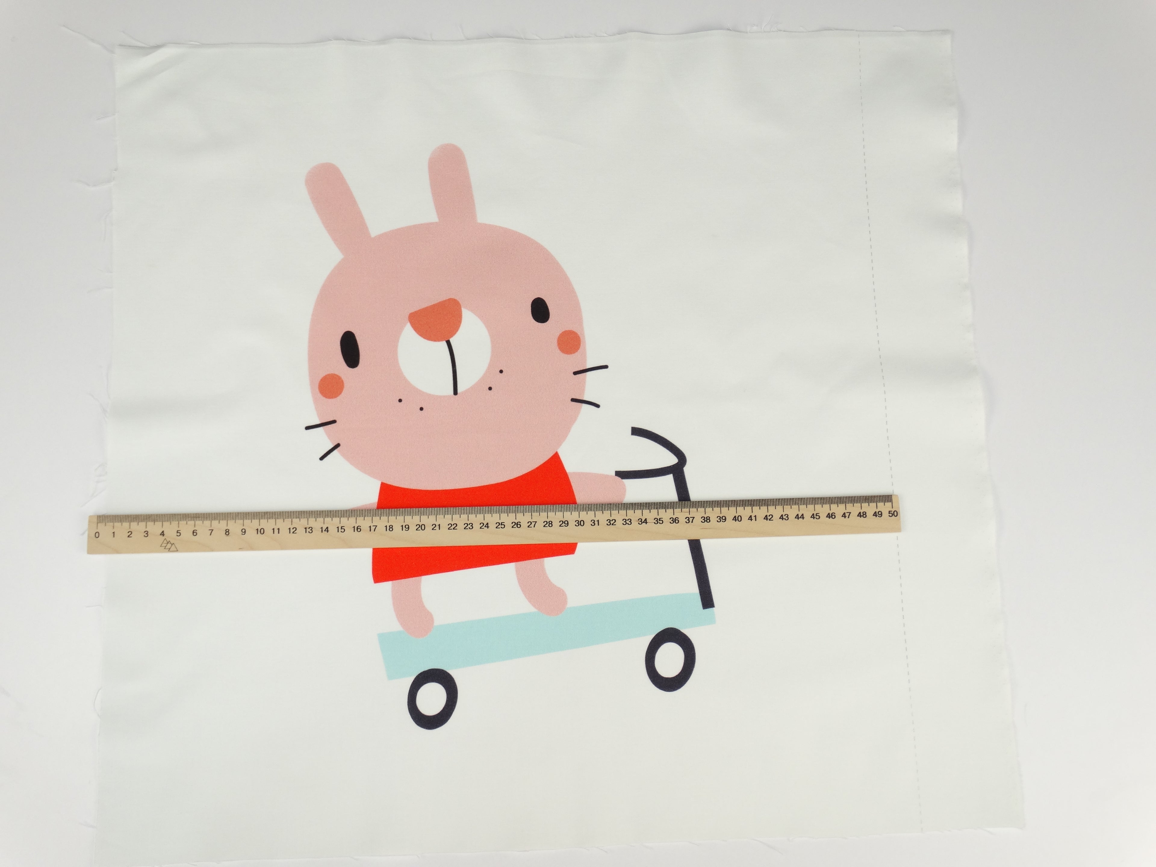 A bunny on a scooter