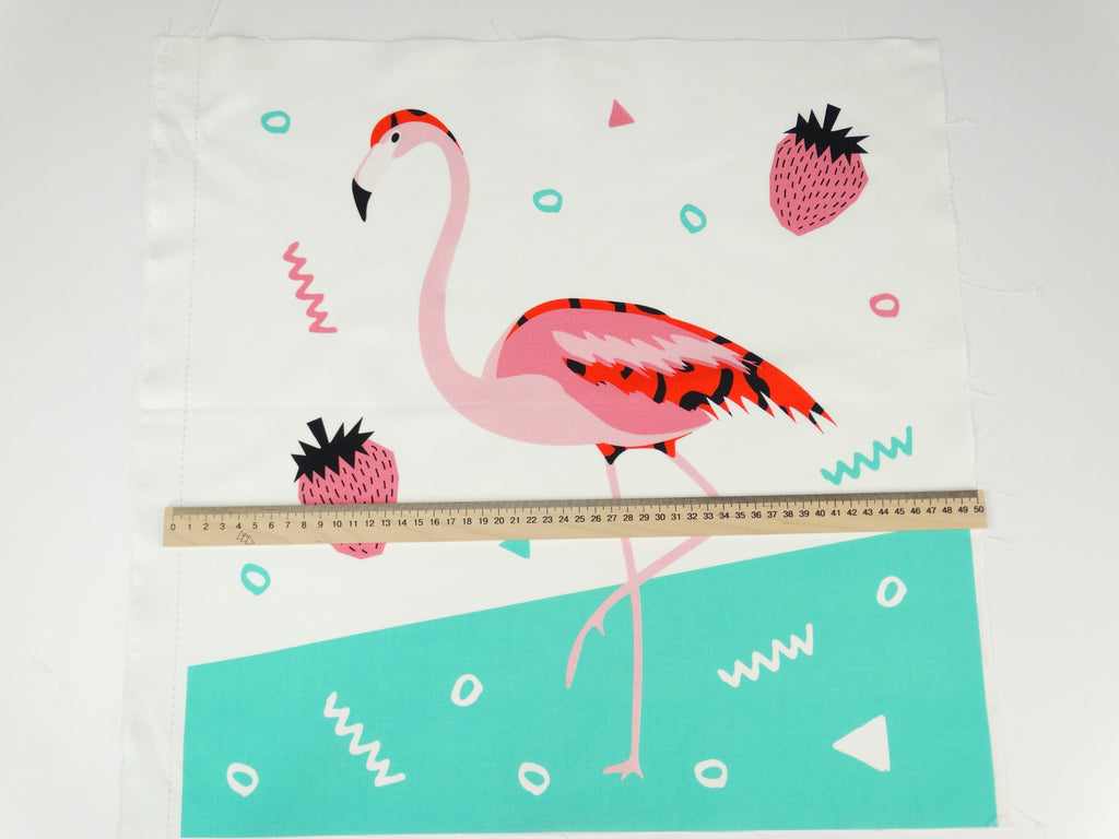 Flamingo summer