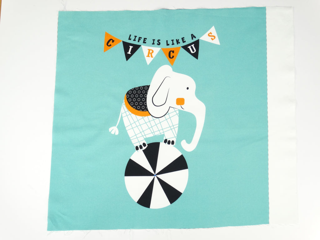 Circus elephant