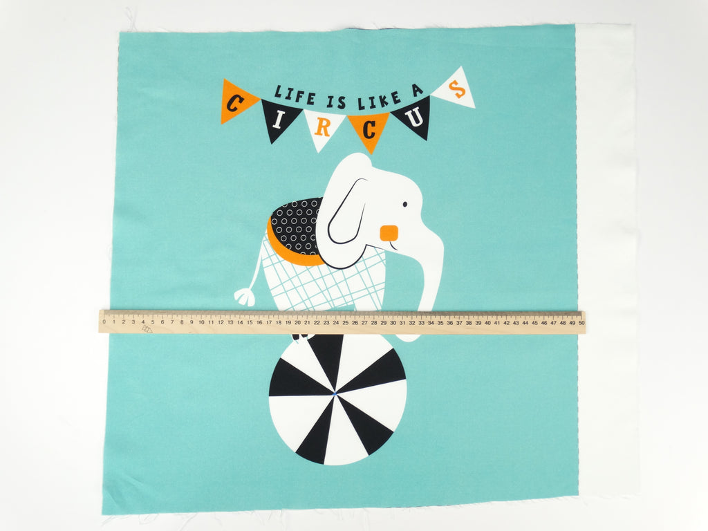 Circus elephant