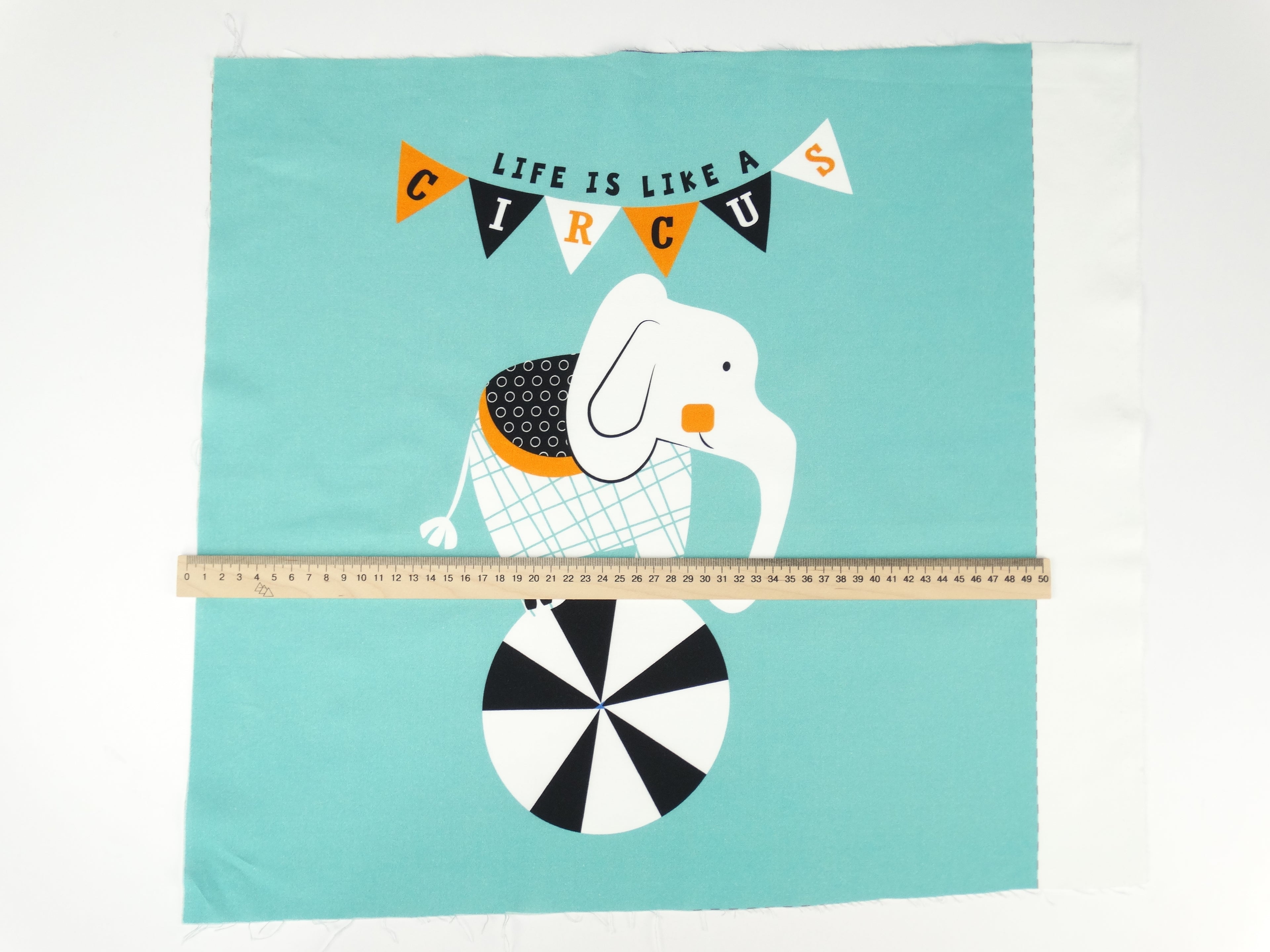 Circus elephant
