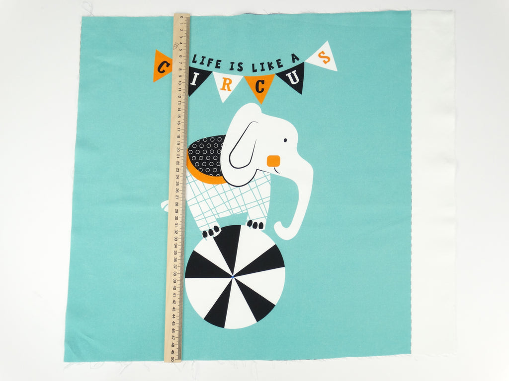 Circus elephant