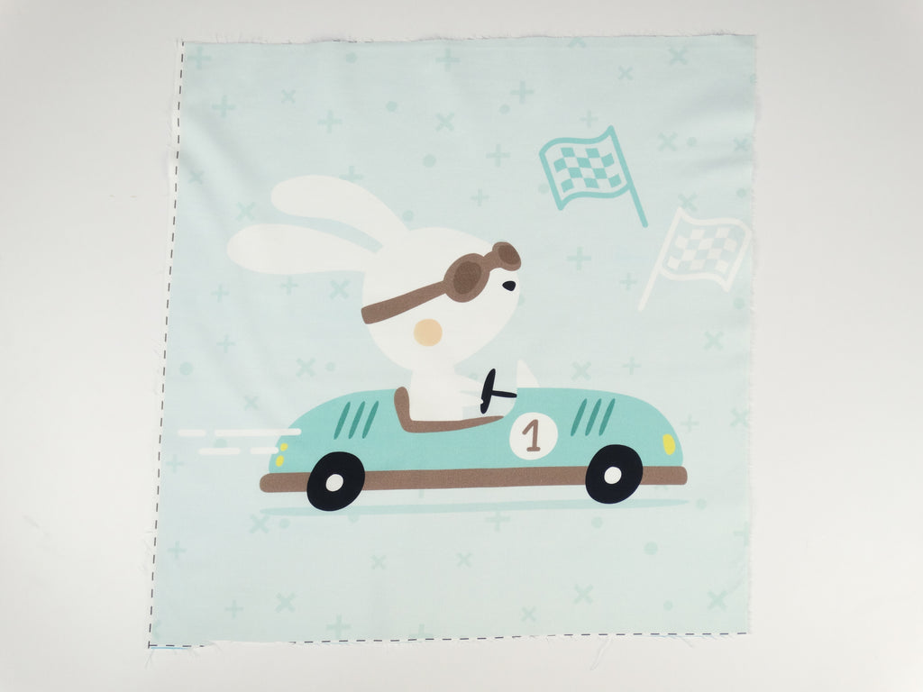 Bunny racer