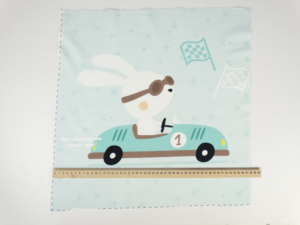 Bunny racer