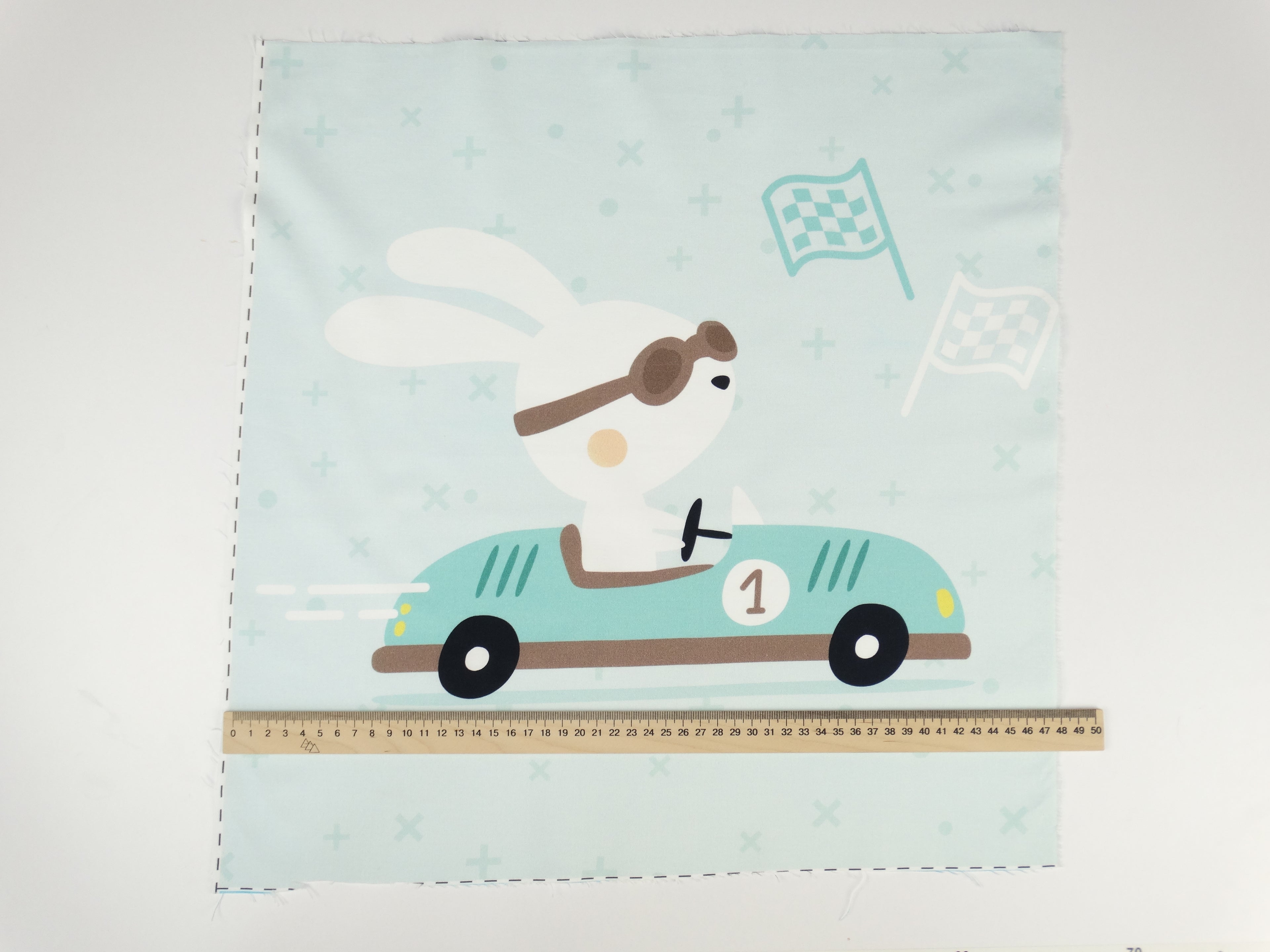 Bunny racer